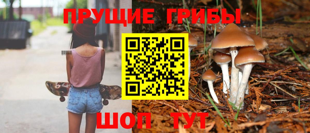 Псилоцибиновые грибы мицелий Черкесск